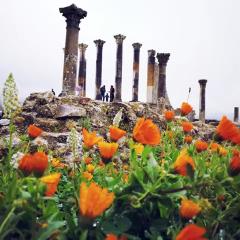 景点模块 