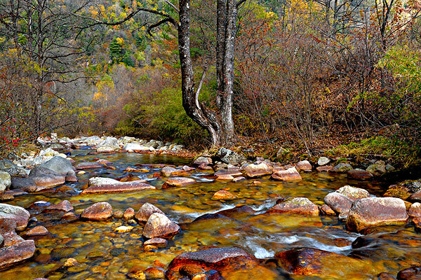 三月去秦岭旅游必备物品_三月去秦岭旅游景点