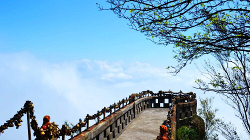 <綦江-古剑山-草莓基地-油菜花1日游
