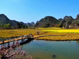 云南昆明旅游團(tuán)報(bào)價(jià)自由行_云南昆明游 旅行團(tuán)_云南昆明旅游費(fèi)用多少