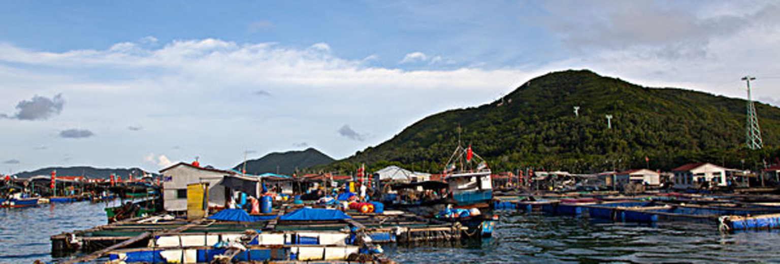 黄家湾风景区旅游攻略