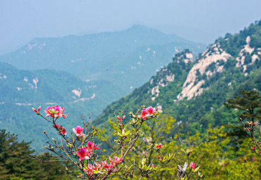 湖北大别山主峰风景区