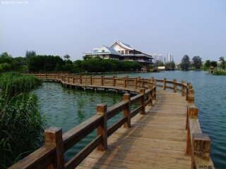 廈門鼓浪嶼游價(jià)格_廈門鼓浪嶼報(bào)團(tuán)多少錢_廈門鼓浪嶼半自助游