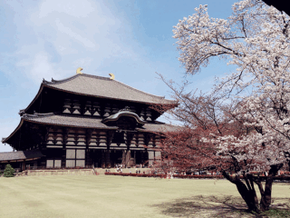 日本旅游價(jià)格多少跟團(tuán)_日本旅游團(tuán)_去日本旅游