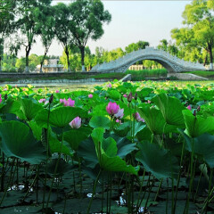 景点模块 