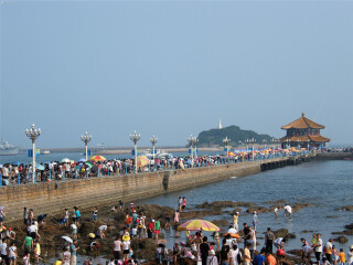 青島組團(tuán)旅游_青島游價(jià)格_青島旅游費(fèi)用多少