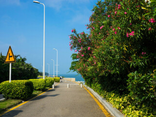 廈門鼓浪嶼半自助游_廈門鼓浪嶼旅游組團(tuán)_廈門鼓浪嶼跟團(tuán)游與自由行
