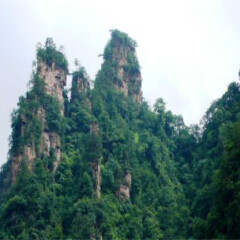 景点模块 