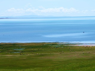 青海六日游价格_青海双飞十日游很便宜_跟团旅游到青海
