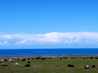 深圳包团青海旅游价格_青海旅游小团_7月赴青海旅游