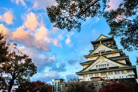 <日本大阪-京都-北陆或北海道8日游>暖冬特惠 温泉享受 大阪自由 A伊豆温泉街 西湖里根场合掌村聚 升级一晚5星  B关西加北海道行程  滑雪场度假村