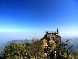  莽山2日游>采高山瑶族茶叶,寻中华国宝洛铁头,游原始