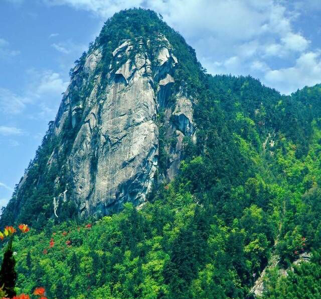 爬山,福寿山主峰福桶山高达1500米左右,视野很不错,还可以赏花.