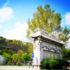景点模块 