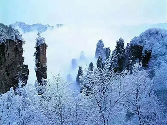 森林公园雪景