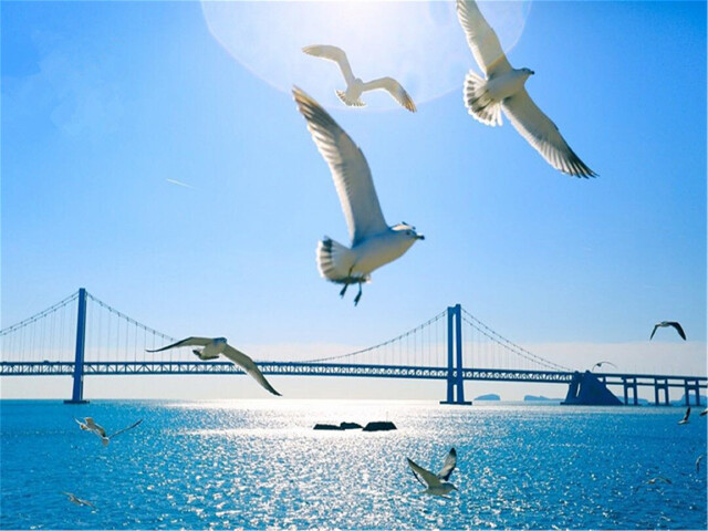 星海广场
