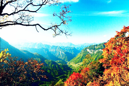 景点模块 
