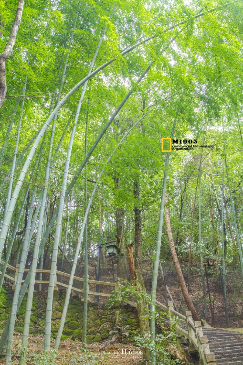 倏忽云烟化杳冥,峰峦随水入丹青【多图】_黄山北海