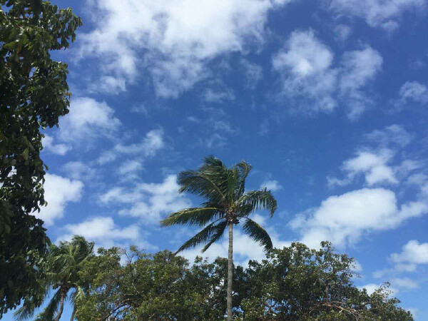 十二月去迈阿密旅游必备物品_十二月去迈阿密