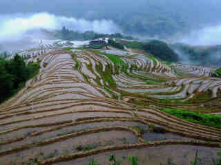 桂林陽(yáng)朔2人旅游需要多少錢(qián)_桂林陽(yáng)朔旅游組團(tuán)_桂林陽(yáng)朔旅游團(tuán)報(bào)價(jià)2021