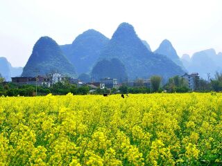 桂林陽(yáng)朔2人旅游需要多少錢(qián)_桂林陽(yáng)朔旅游組團(tuán)_桂林陽(yáng)朔旅游團(tuán)報(bào)價(jià)2021
