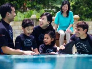 【与海豚共舞】 新加坡水上探险乐园+海豚园体