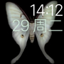 28858700