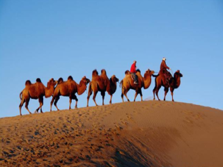山西九月旅游_山西十一旅游團(tuán)_山西旅游花多少錢(qián)