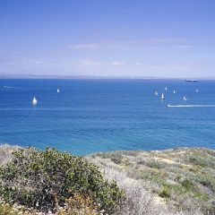 洛马岬灯塔的#旅图换旅费# #旅拍#