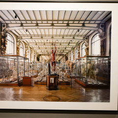 巴尔博亚公园的#旅图换旅费# #建筑# #公园#