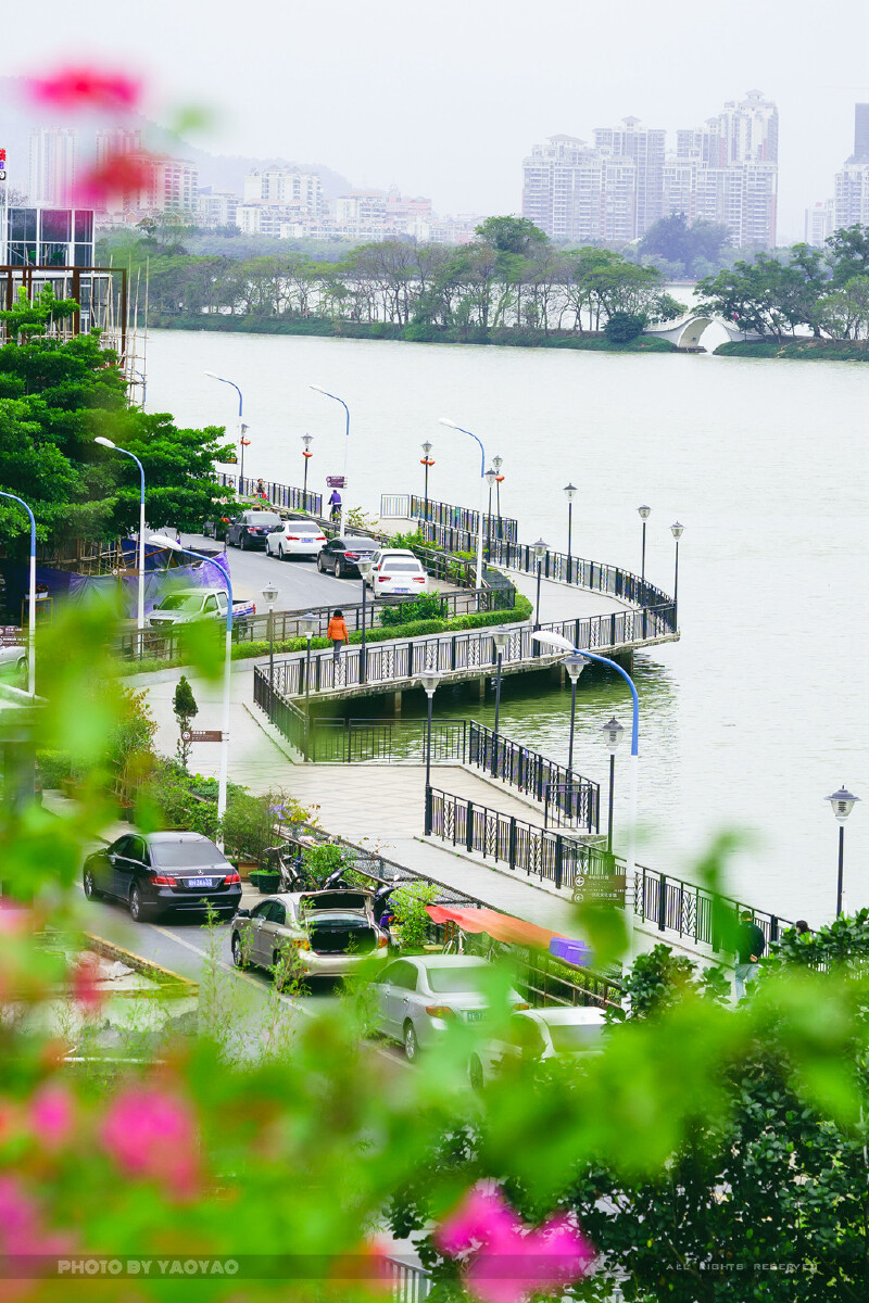 静享春日时光,慢游肇庆最美涟岸