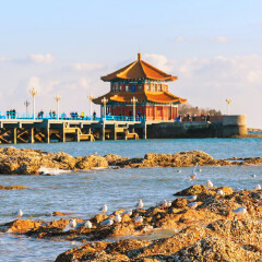 活动模块 