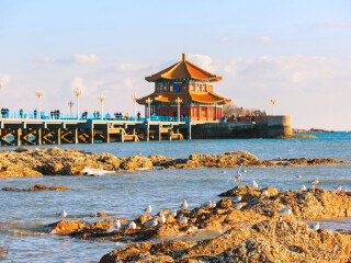 山東青島跟團(tuán)還是自由行_跟團(tuán)山東青島旅游價格表_山東青島游報價