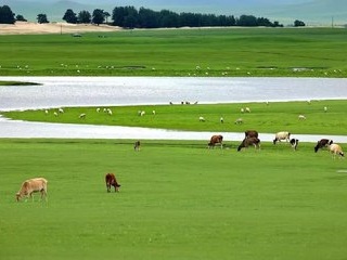 哈爾濱特價旅游團報價_哈爾濱旅游大約多少錢_哈爾濱旅游團報價