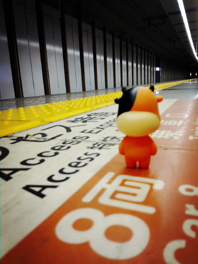 #带着牛牛去旅行# 第一次去日本东京游记