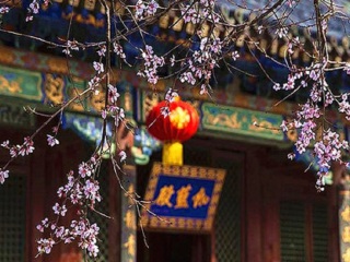 山西跟团旅游线路_山西6天跟团游_公司旅游山西
