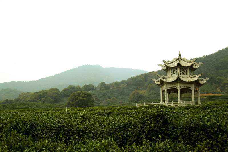 坐落在青山脚下的艺术小镇 户外桐坞村