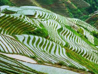 春节期间桂林自助游_赴桂林旅游_桂林出境游