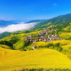 景点模块 