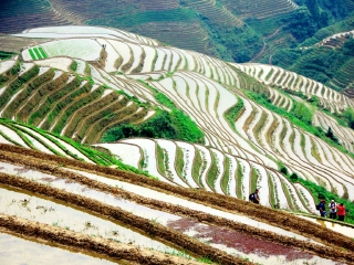 2023去桂林旅游团报价_报团桂林游_桂林旅游报团游