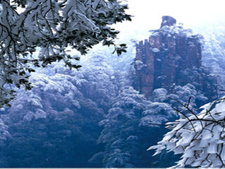 現(xiàn)在去莽山郴州旅游多少錢(qián)_現(xiàn)在到莽山郴州旅游多少錢(qián)_去莽山郴州游要多少錢(qián)