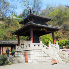 黄鹤楼的#旅图换旅费#