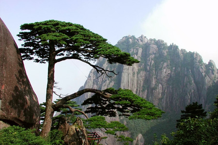 黄山黟县人口_黄山黟县风景照片(2)