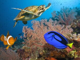 [2018年]菲律宾出入境须知,菲律宾出入境注意事项