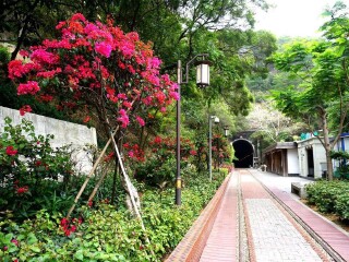 廈門鼓浪嶼旅游組團(tuán)_廈門鼓浪嶼旅游團(tuán)報(bào)價(jià)自由行_深圳特價(jià)廈門鼓浪嶼游