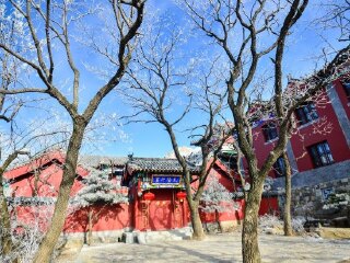 山东跟团旅游线路_旅游团山东旅游_旅游公司山东