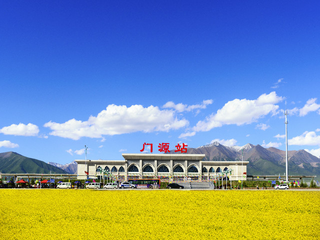 门源赏花,青海湖畔住宿,七彩小镇篝火晚会,纯玩无购物