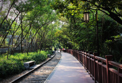 景点模块 