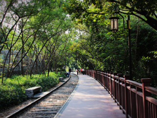到廈門(mén)鼓浪嶼旅游報(bào)團(tuán)價(jià)格_怎么去廈門(mén)鼓浪嶼旅游_廈門(mén)鼓浪嶼報(bào)團(tuán)旅游多少錢(qián)