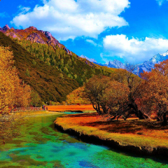 景点模块 